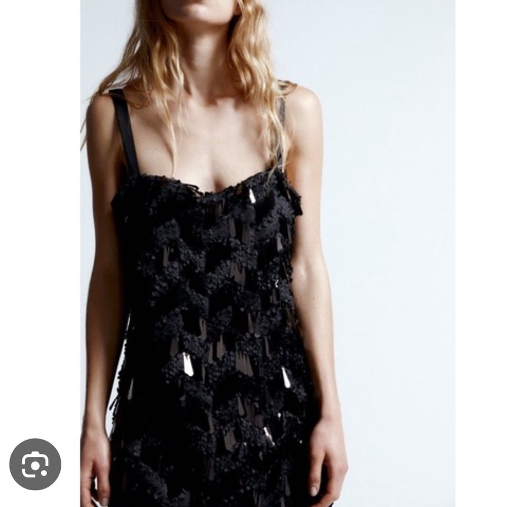 Zara dress